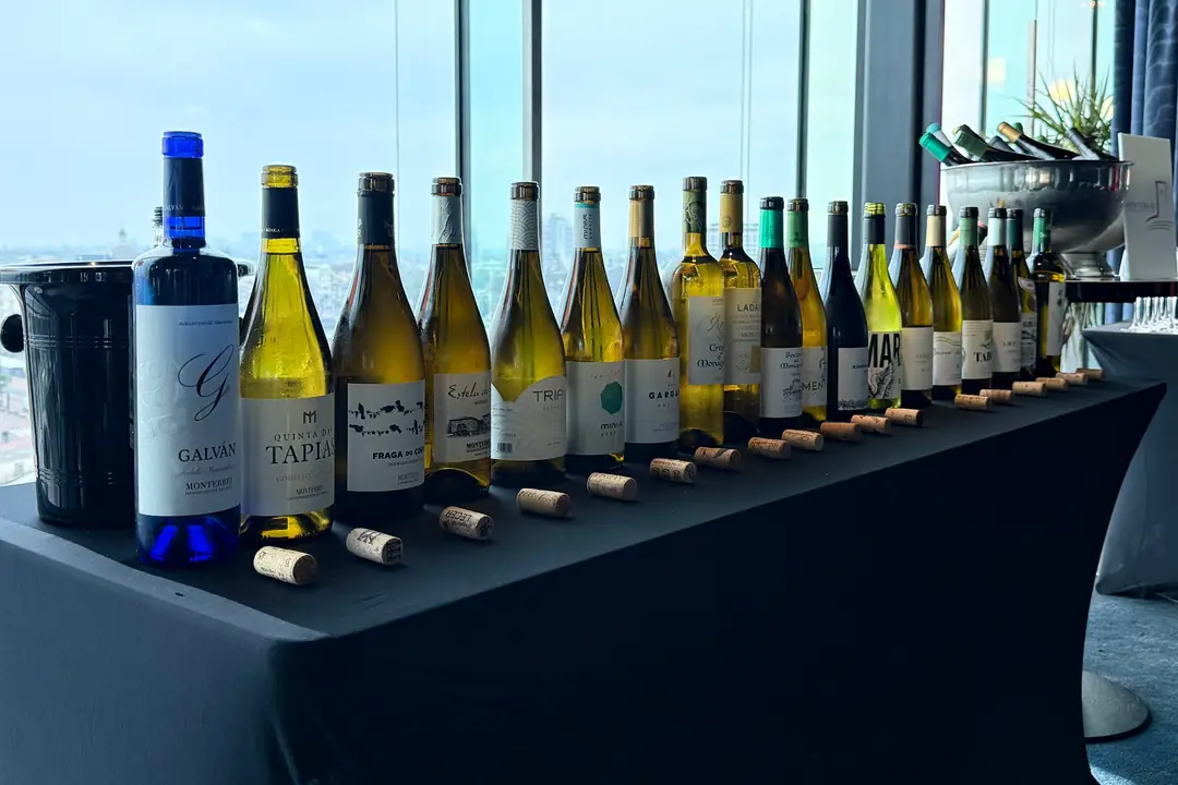 Selection of D.O. Monterrei wines at the ACRUAGA trade event in Amsterdam